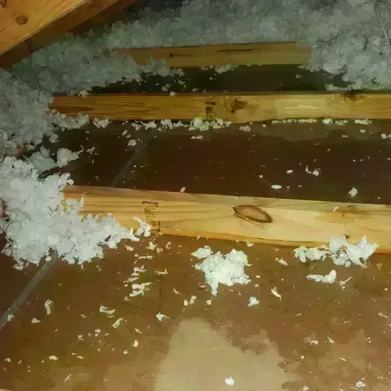 Attic Water Damage in Lumpkin, GA