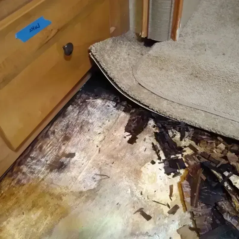 Best Wood Floor Water Damage Service in Lumpkin, GA